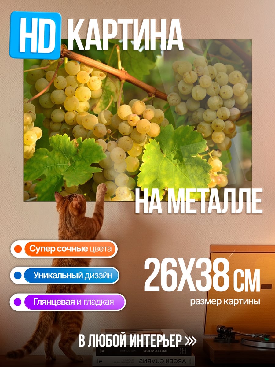 Картина на металле Гроздья винограда