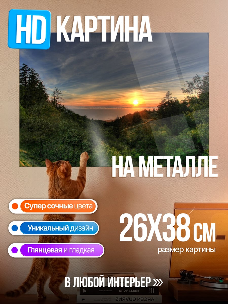 Картина на металле Закат в лесу