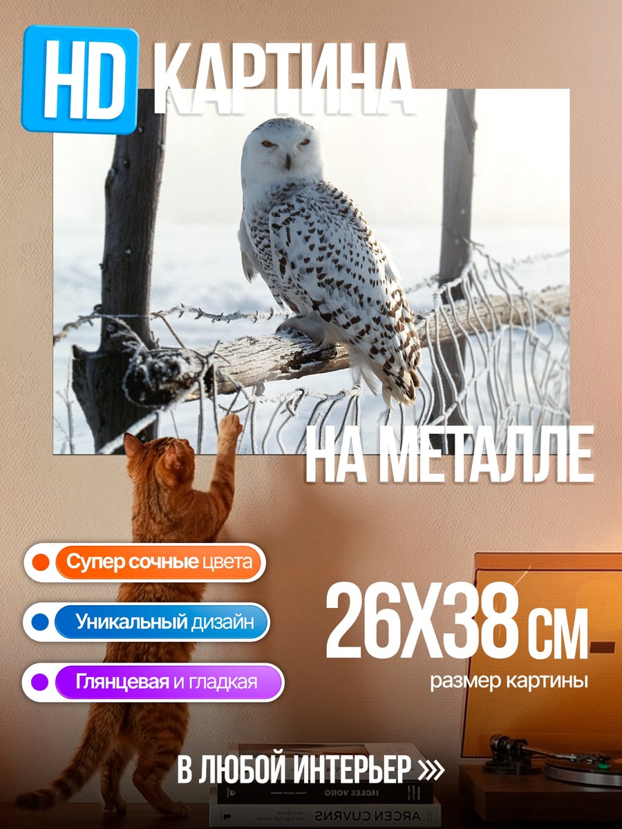 Картина на металле Белая сова на ветке