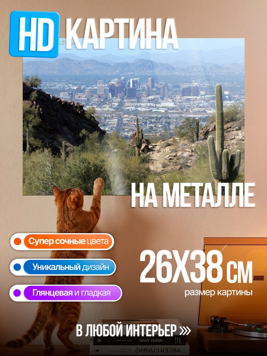 Картина на металле Пустынный город