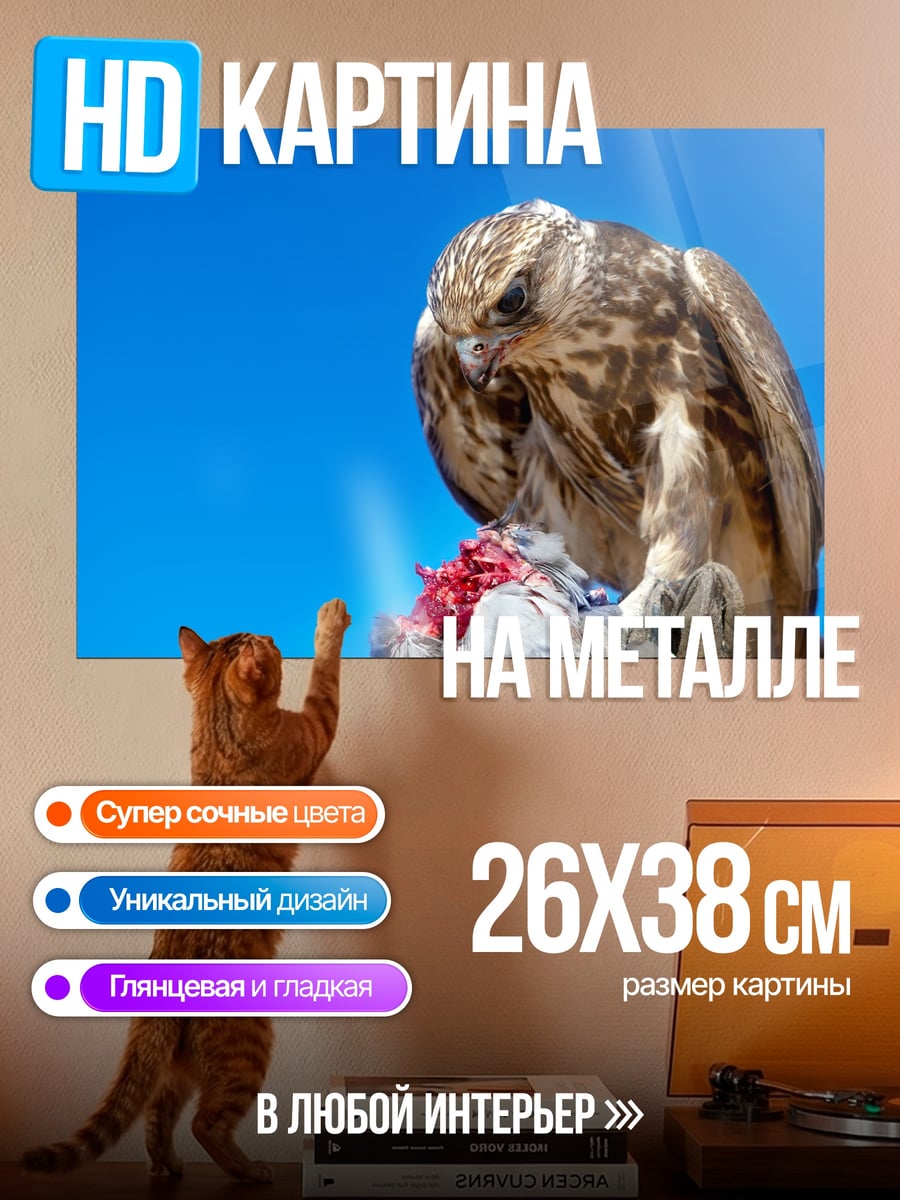 Картина на металле Хищная птица