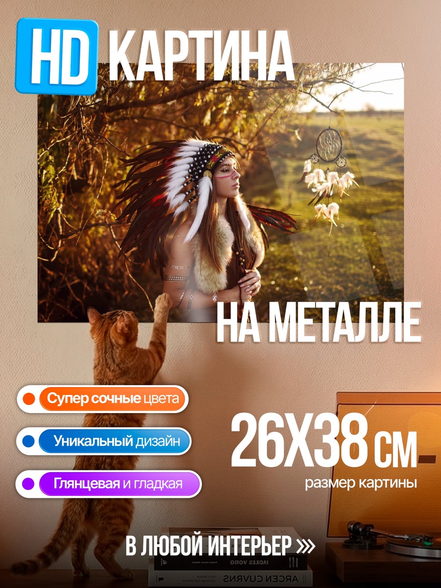 Картина на металле индианка с пером