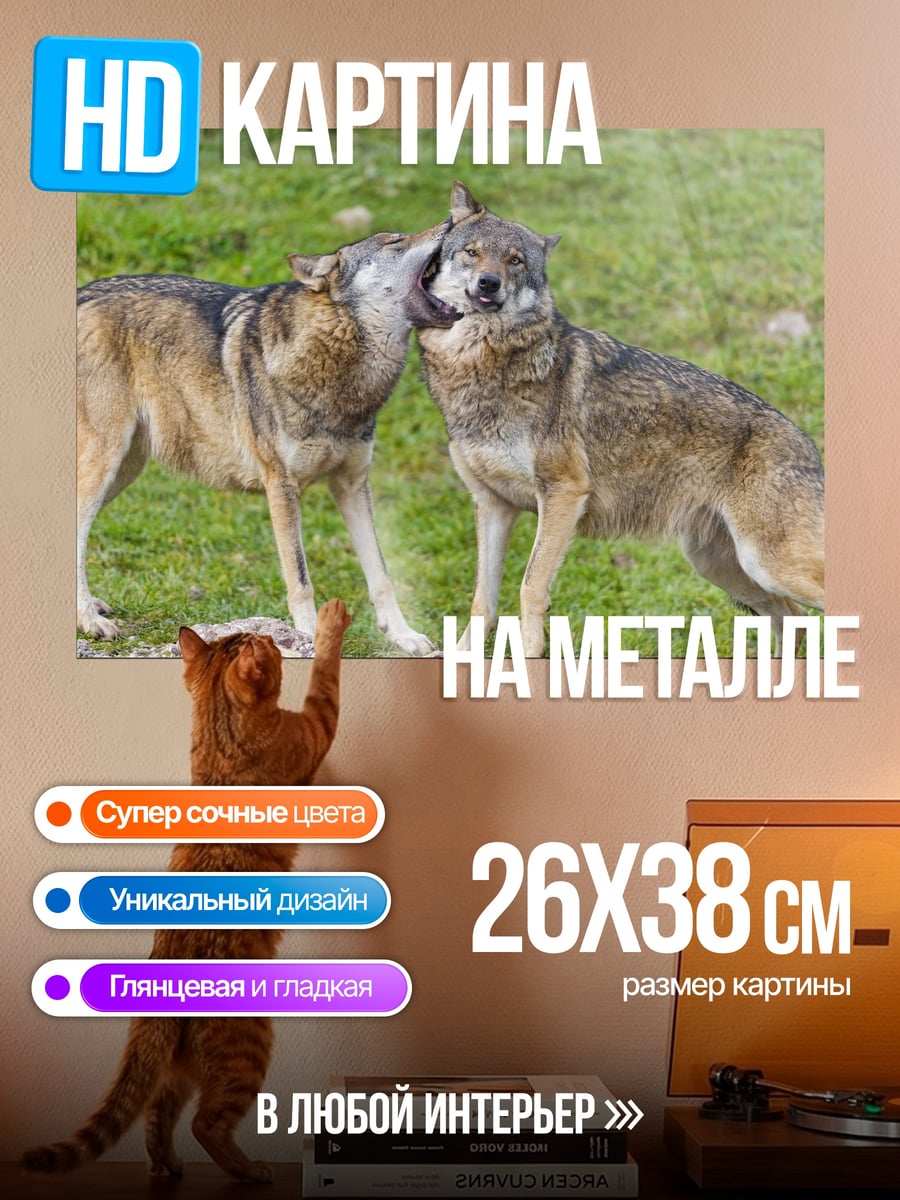 Картина на металле Два волка