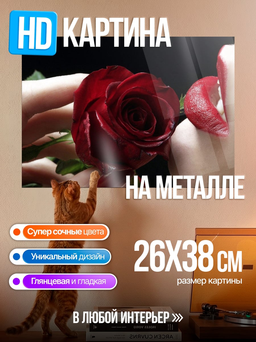 Картина на металле Красная роза и губы