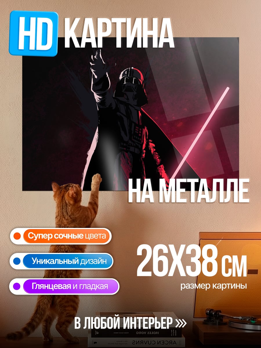 Картина на металле Дарт Мол
