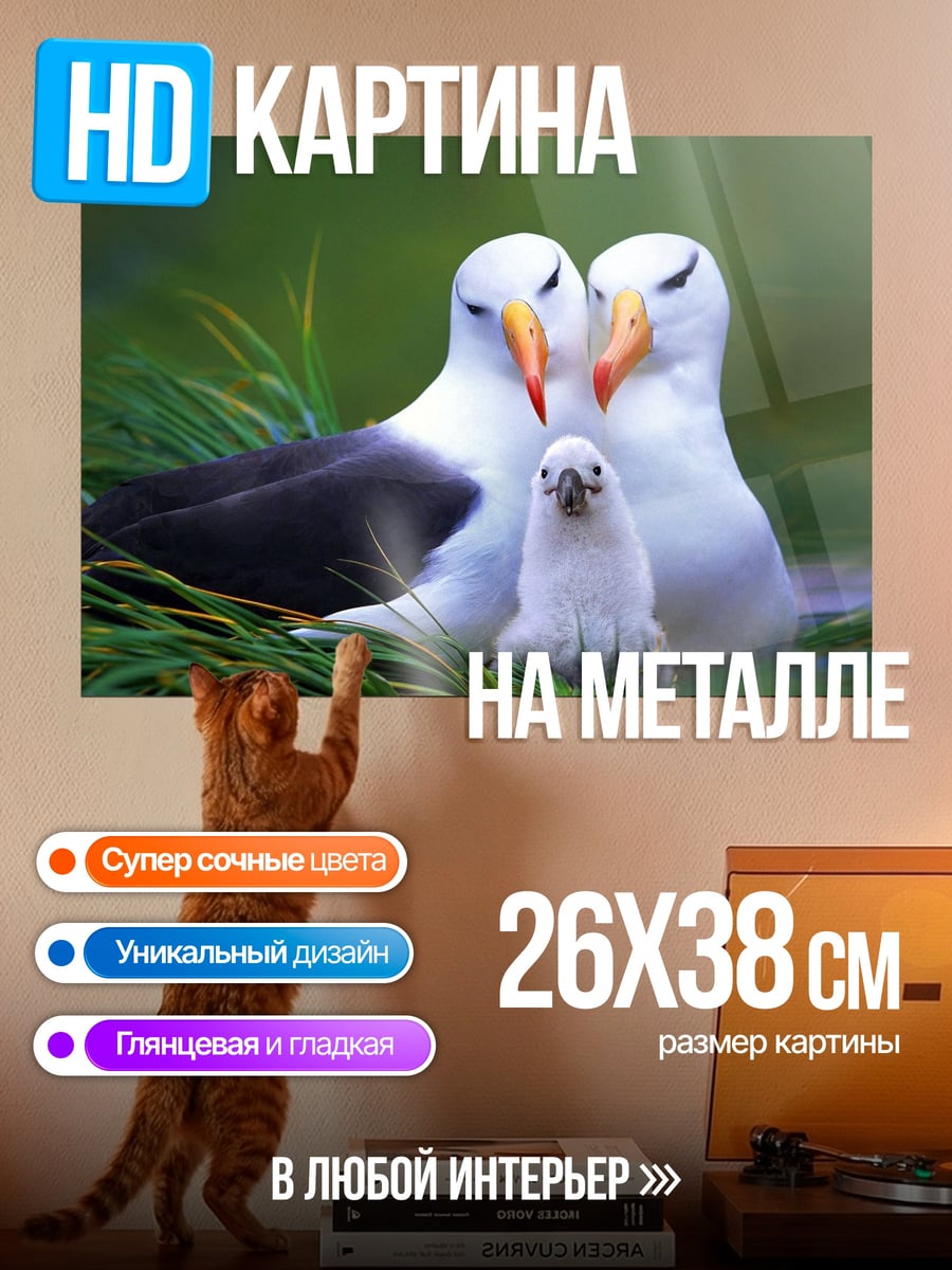 Картина на металле семья альбатросов