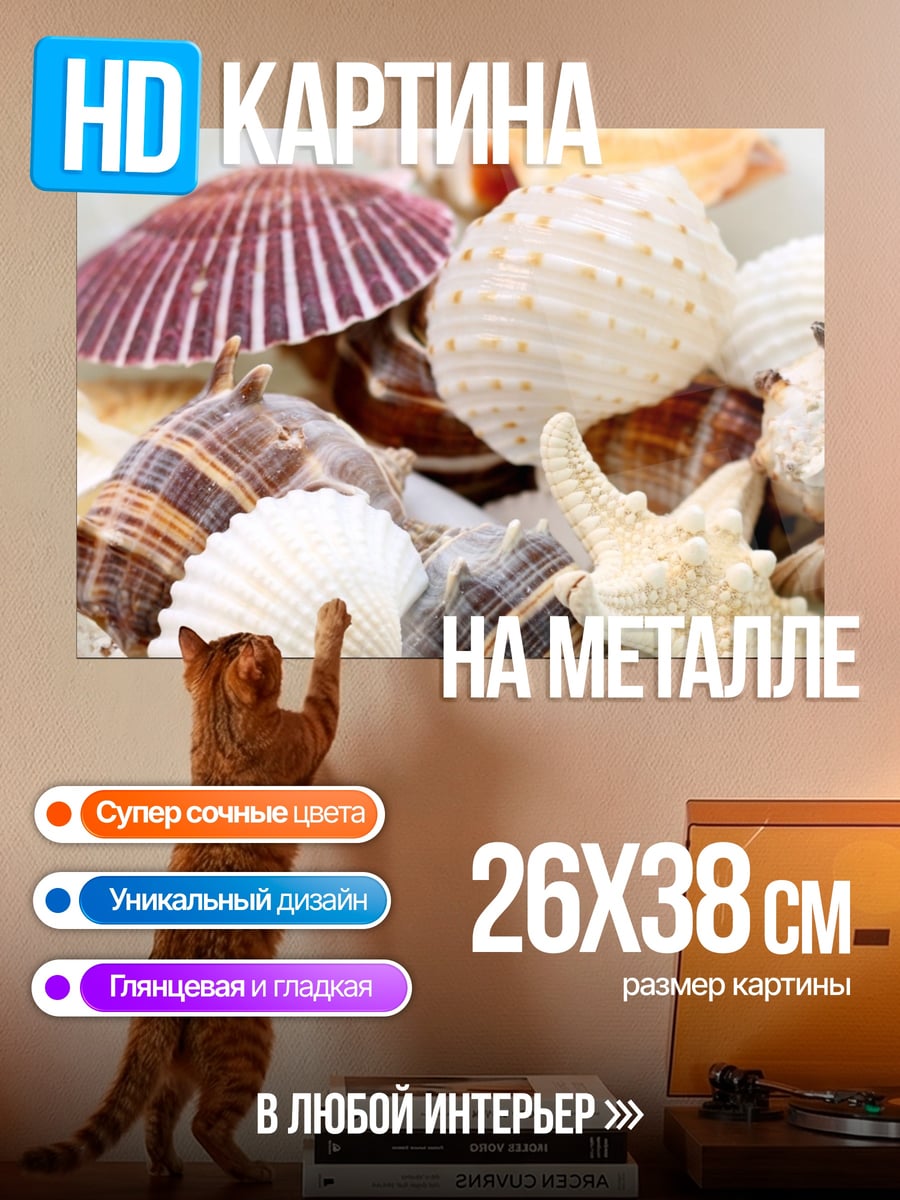 Картина на металле Морские ракушки
