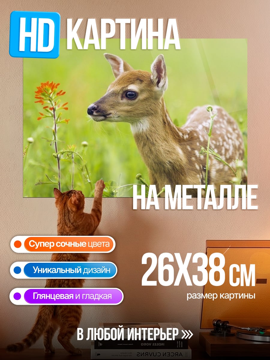 Картина на металле Серебристый кроссовер