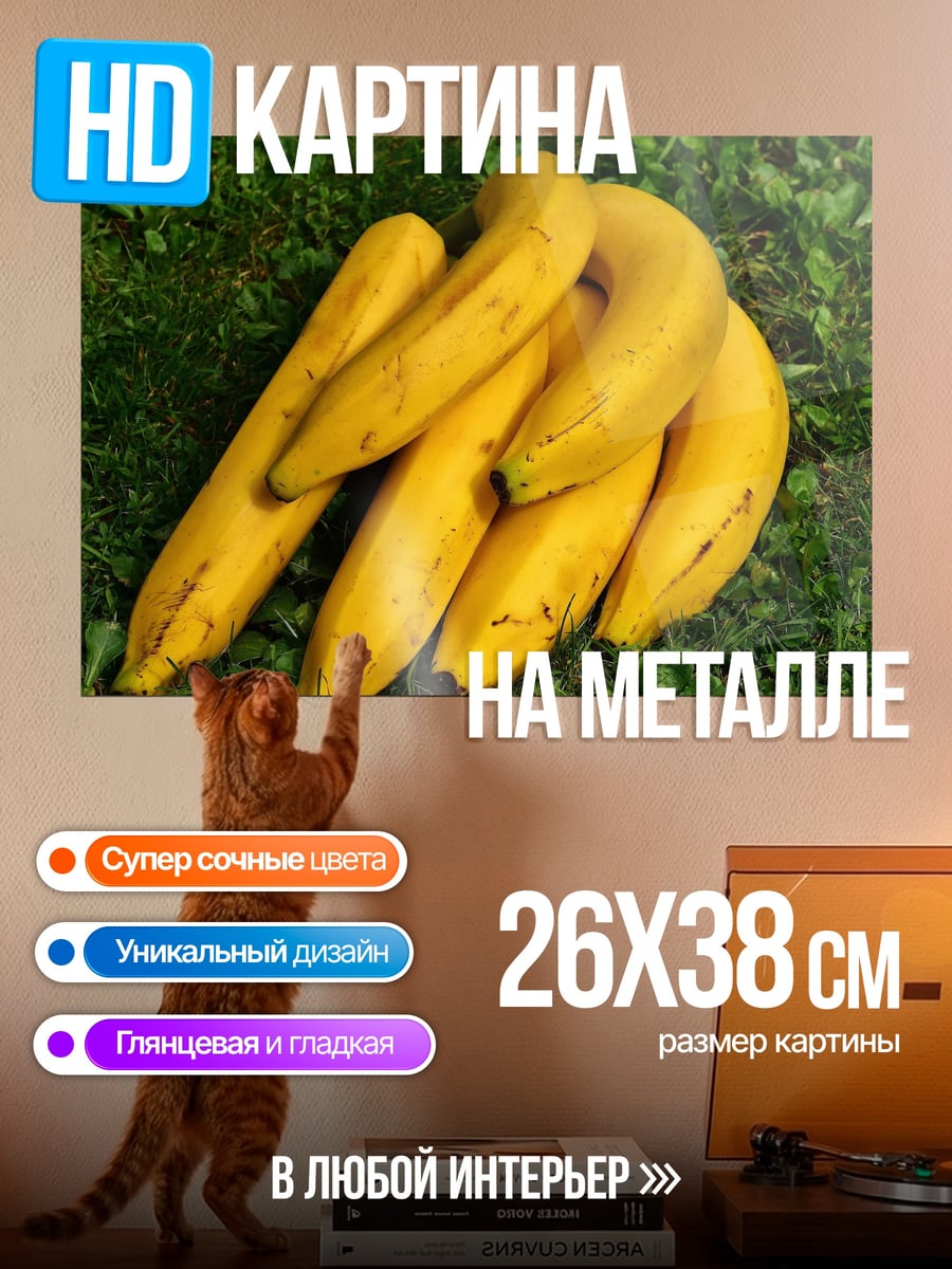 Картина на металле Желтые кабачки на траве