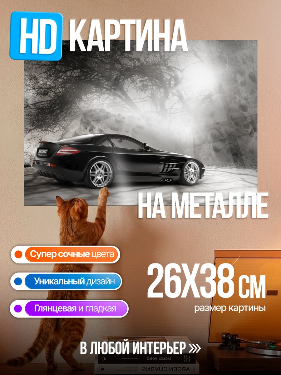 Картина на металле Черный спорткар