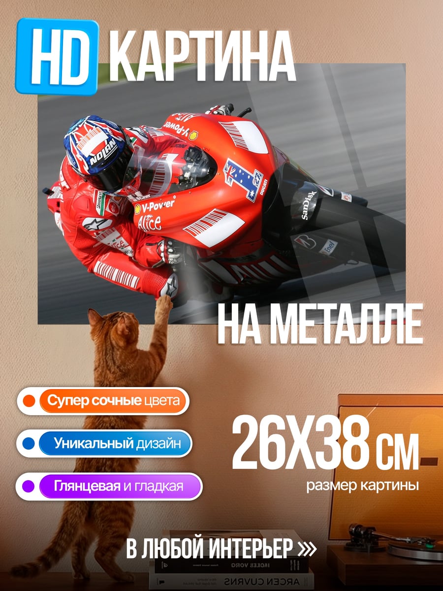 Картина на металле Красный гонщик