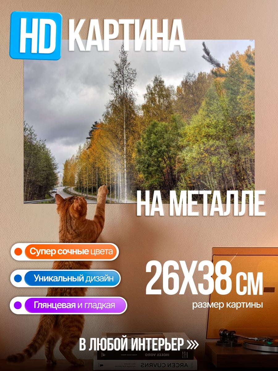 Картина на металле Осенняя дорога