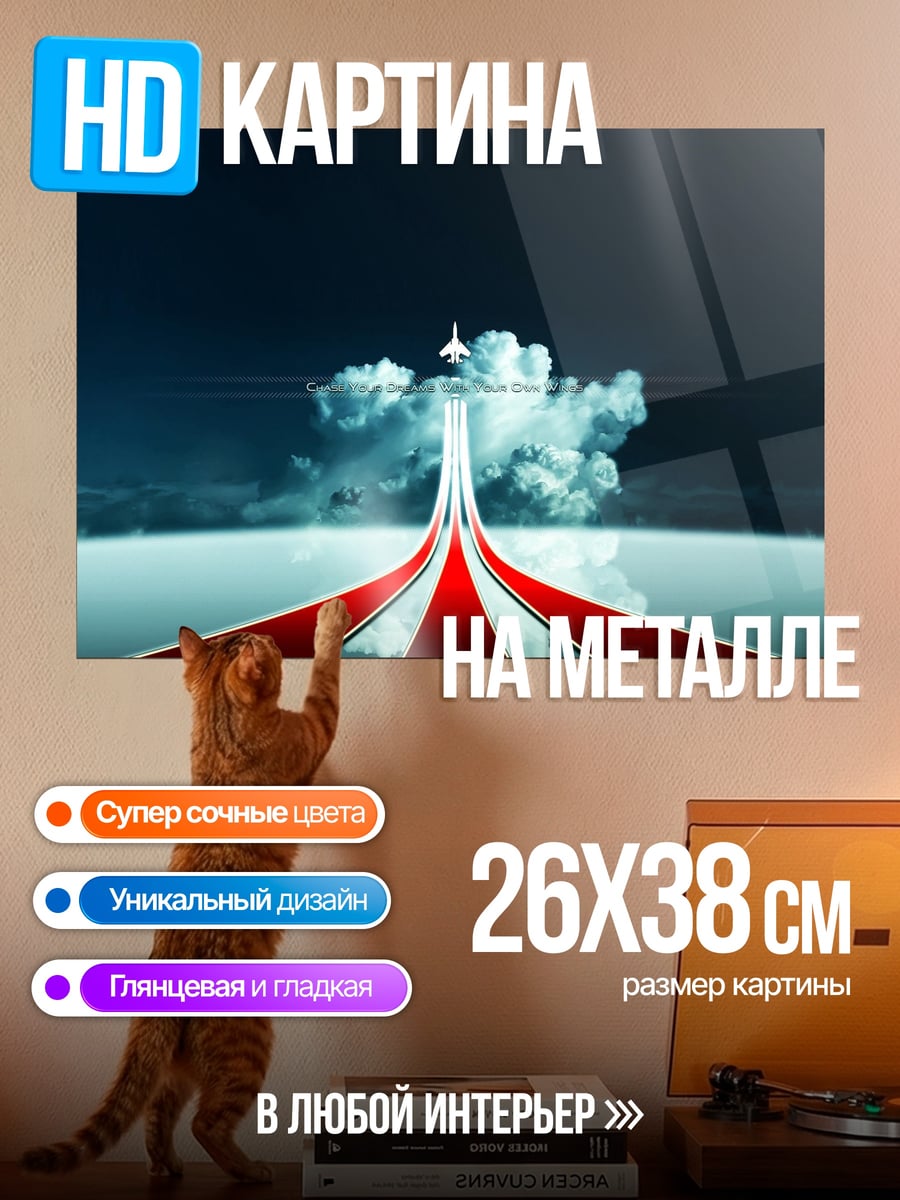Картина на металле Самолет взлетает вверх