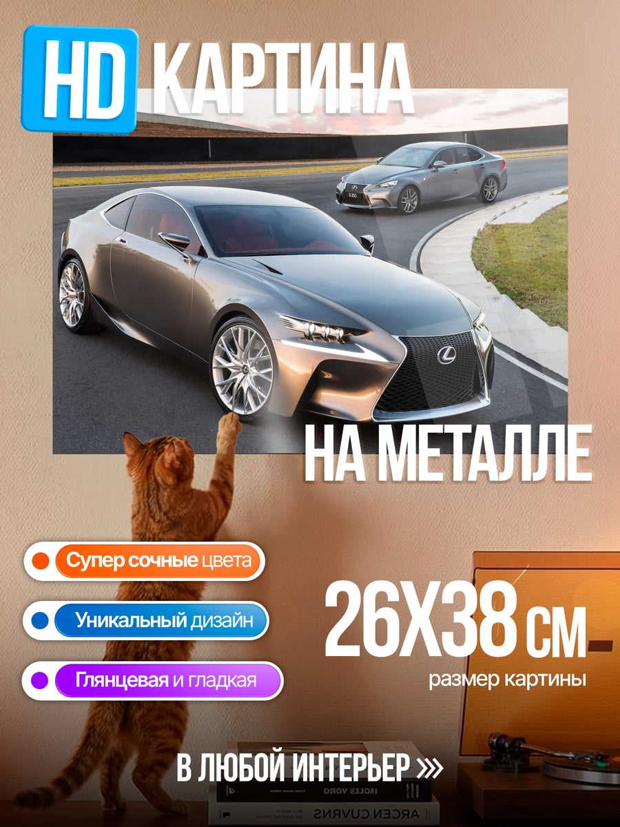 Картина на металле Серебристый Lexus на треке