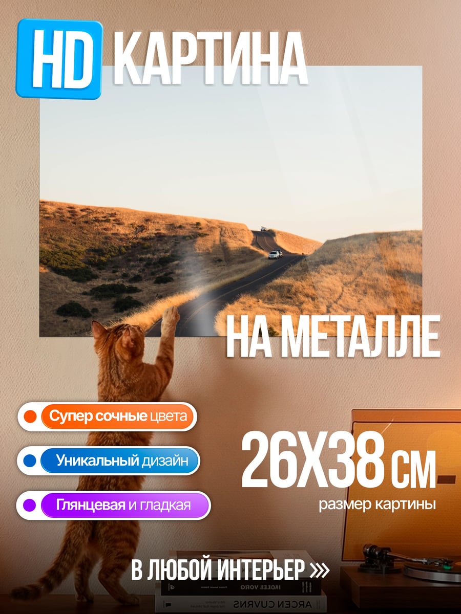 Картина на металле Пустая дорога