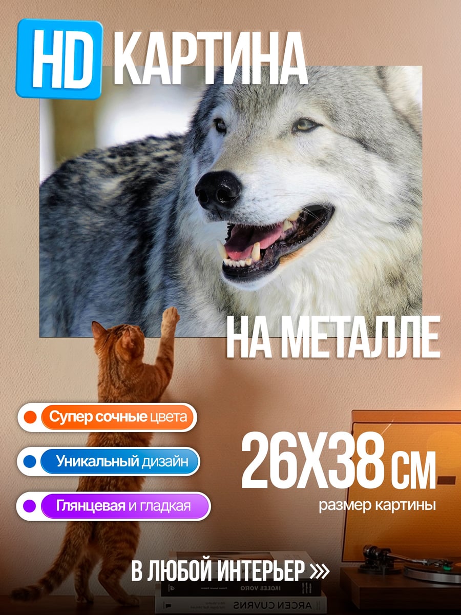 Картина на металле Серый волк