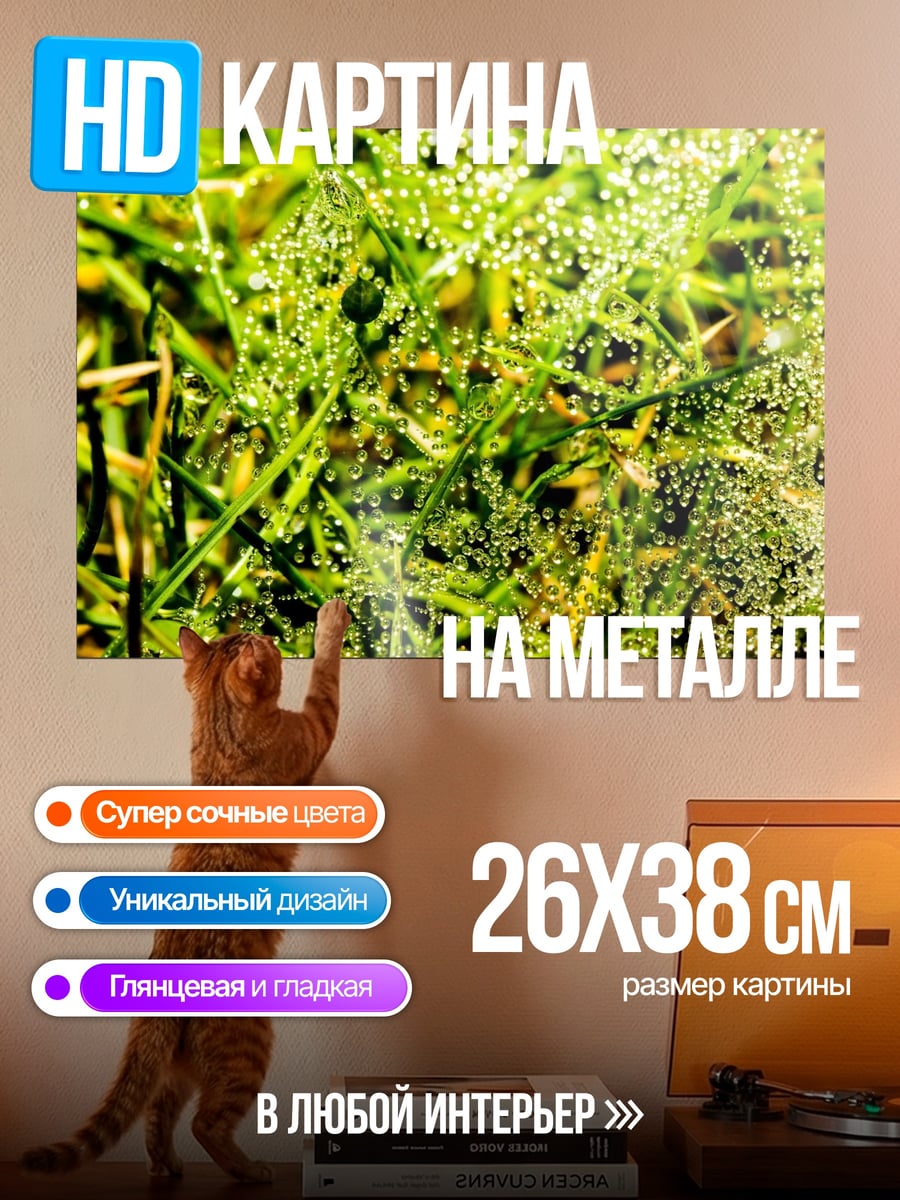 Картина на металле Роса на траве
