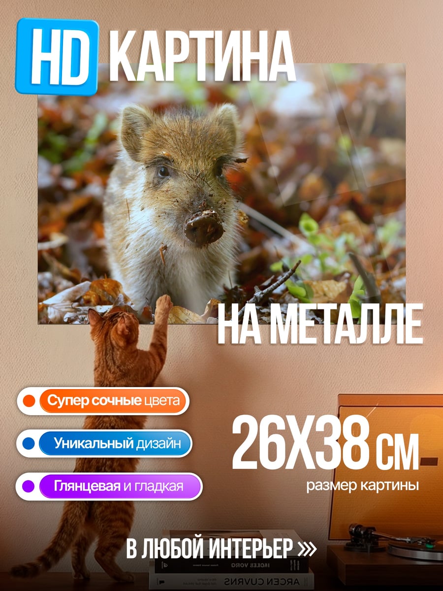 Картина на металле дикий кабанёнок в лесу