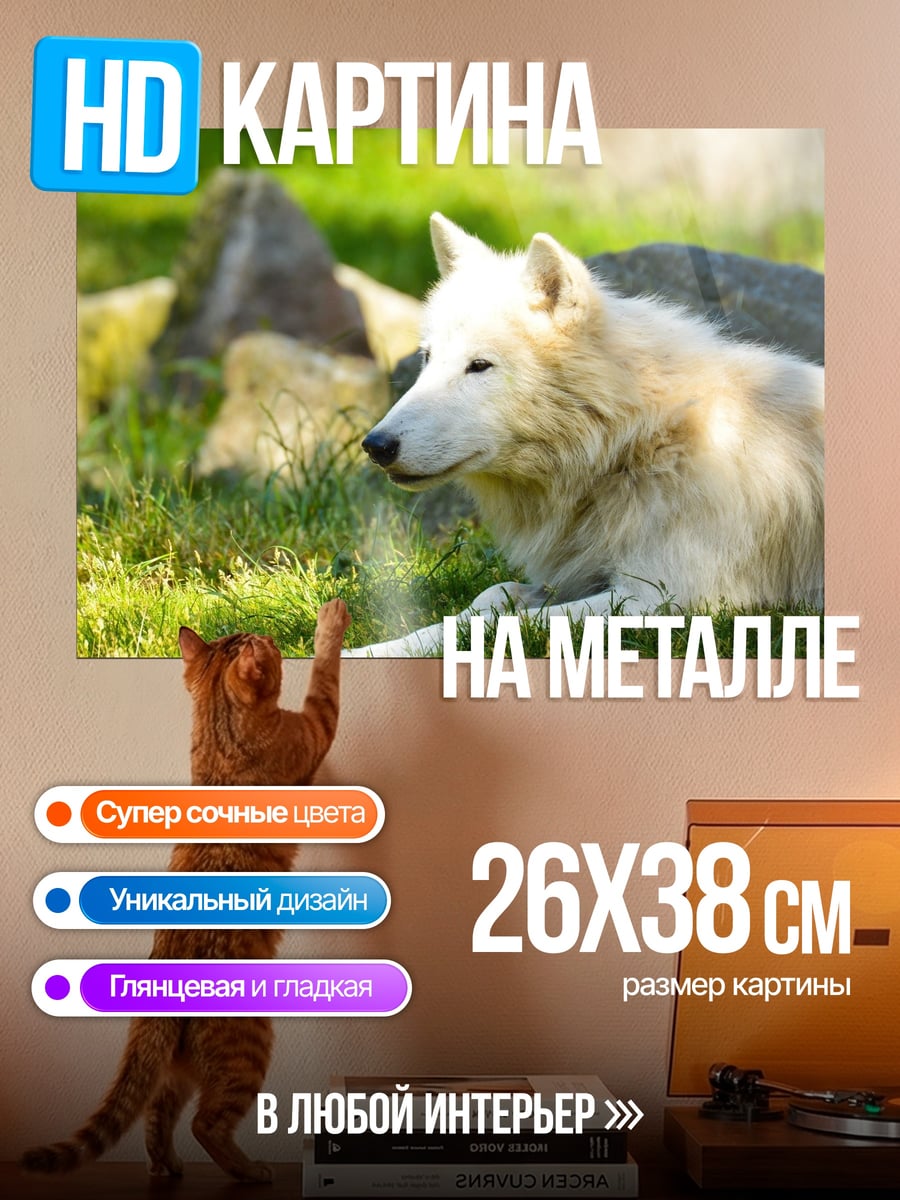 Картина на металле белый волк