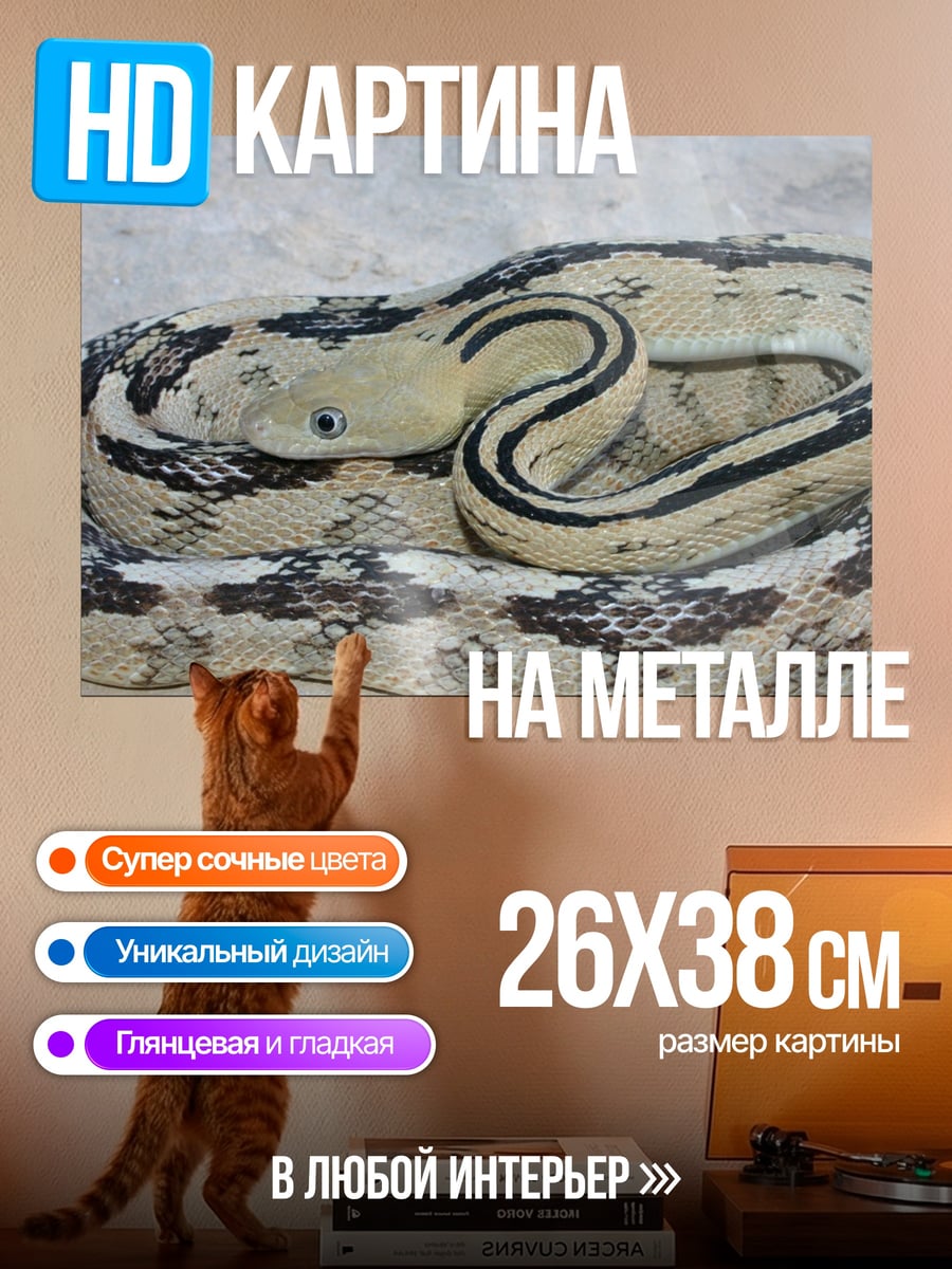 Картина на металле Змея в узорах