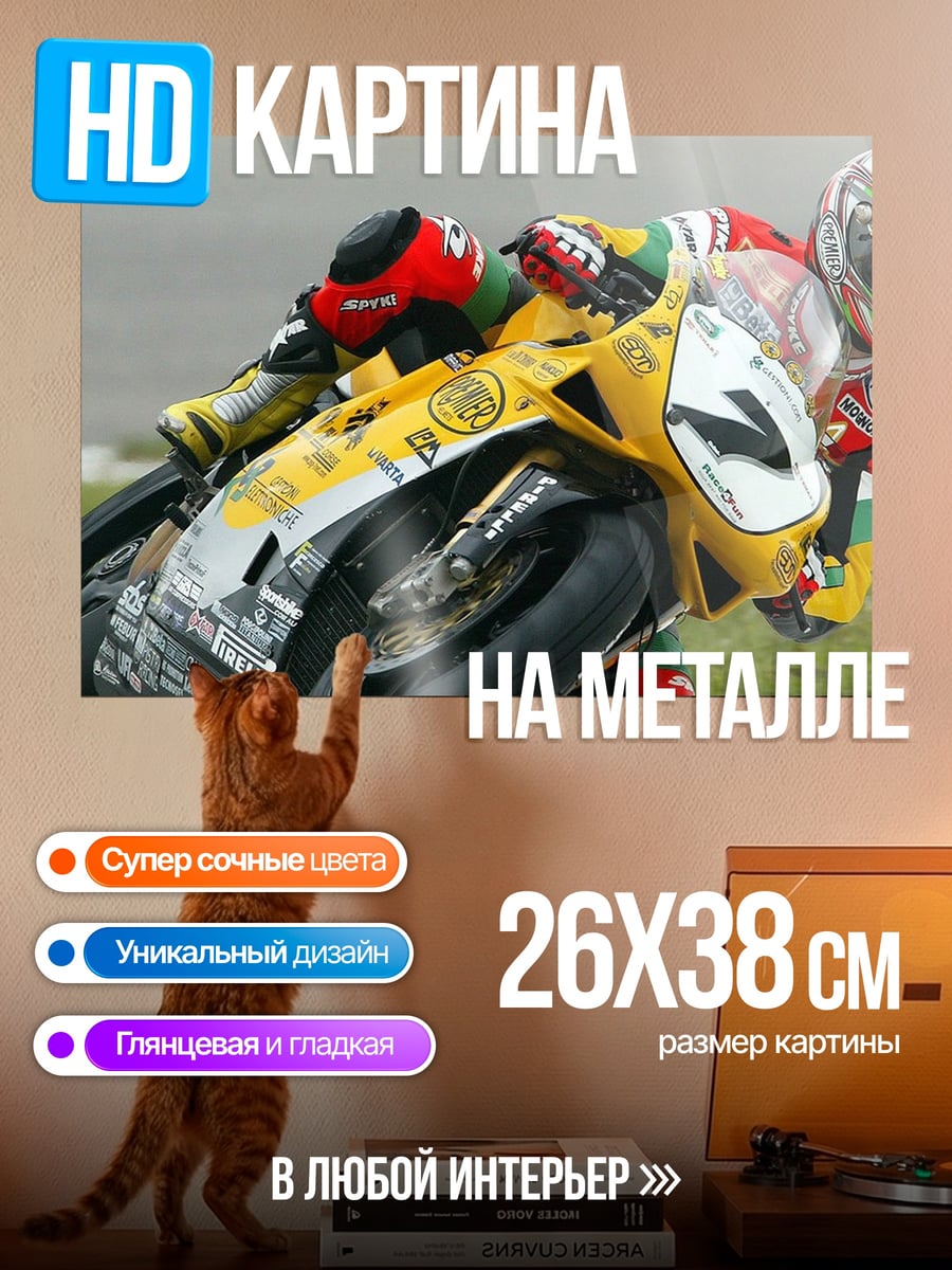 Картина на металле Гонщик на мотоцикле