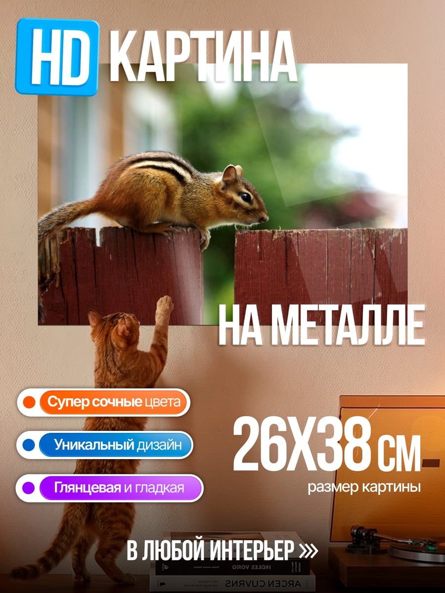 Картина на металле бурундук на заборе
