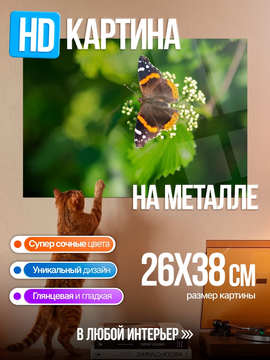 Картина на металле бабочка на цветке