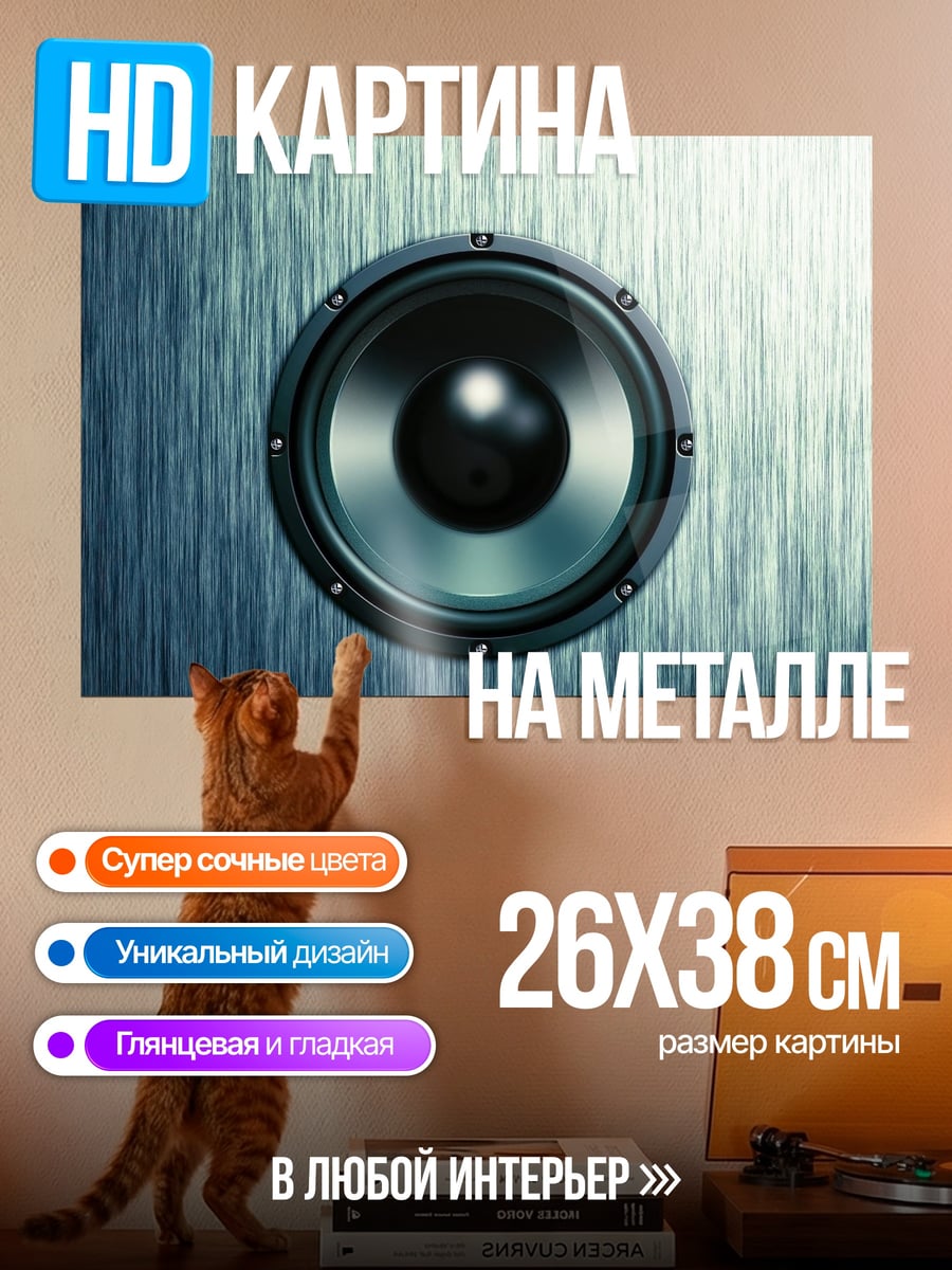 Картина на металле Аудио колонка