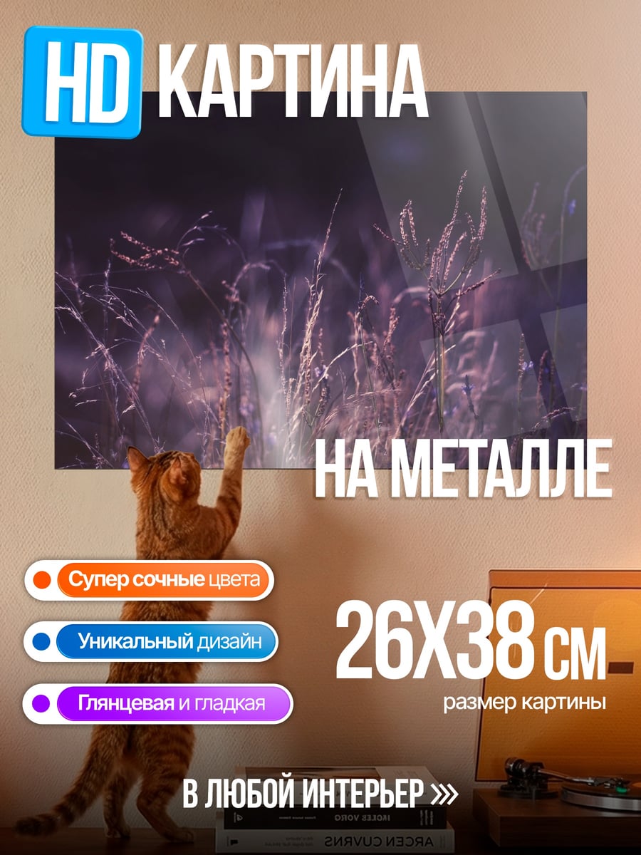 Картина на металле Ночное поле