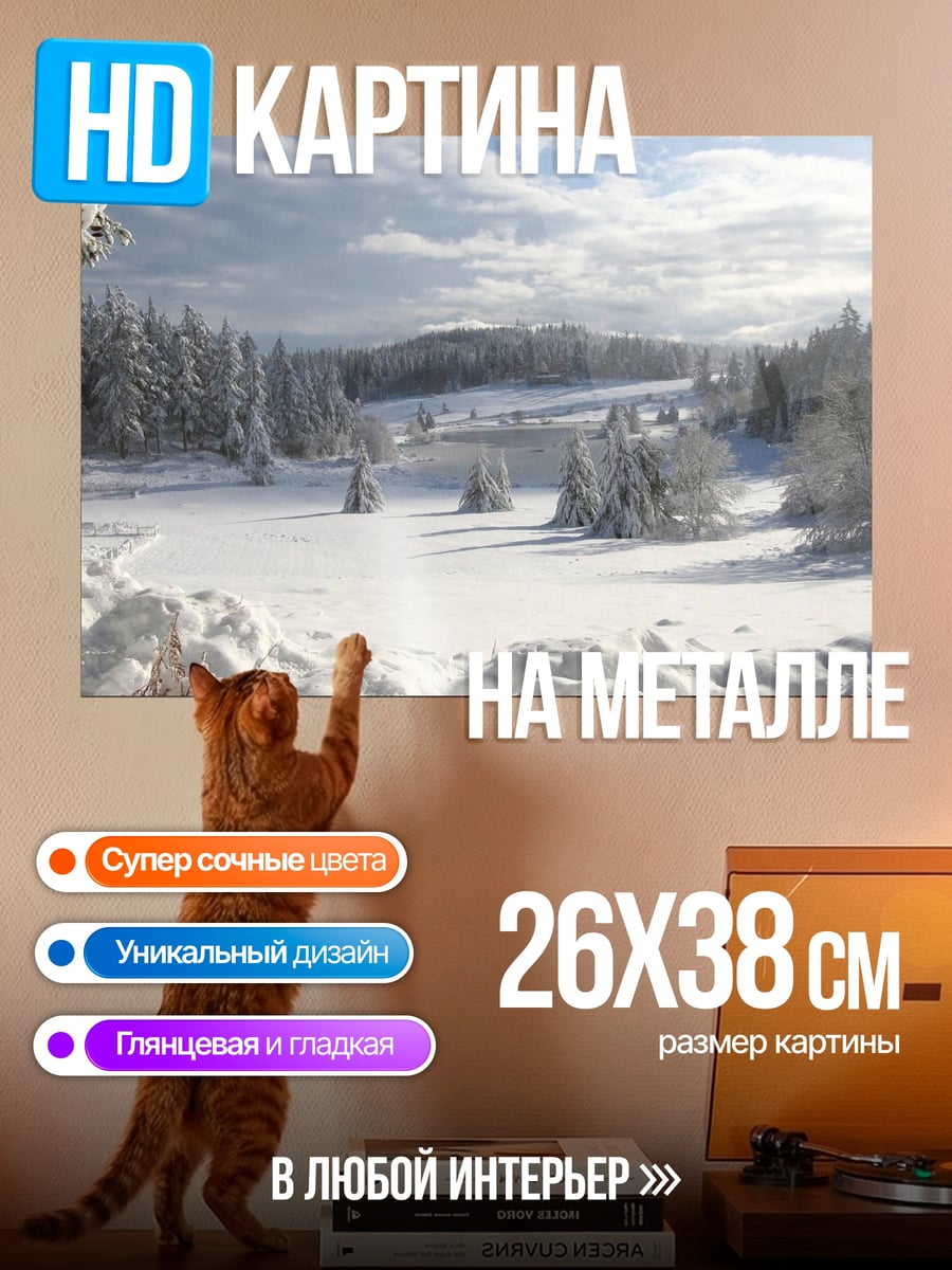 Картина на металле Зимний лес