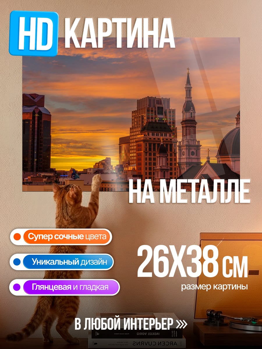 Картина на металле Городской закат