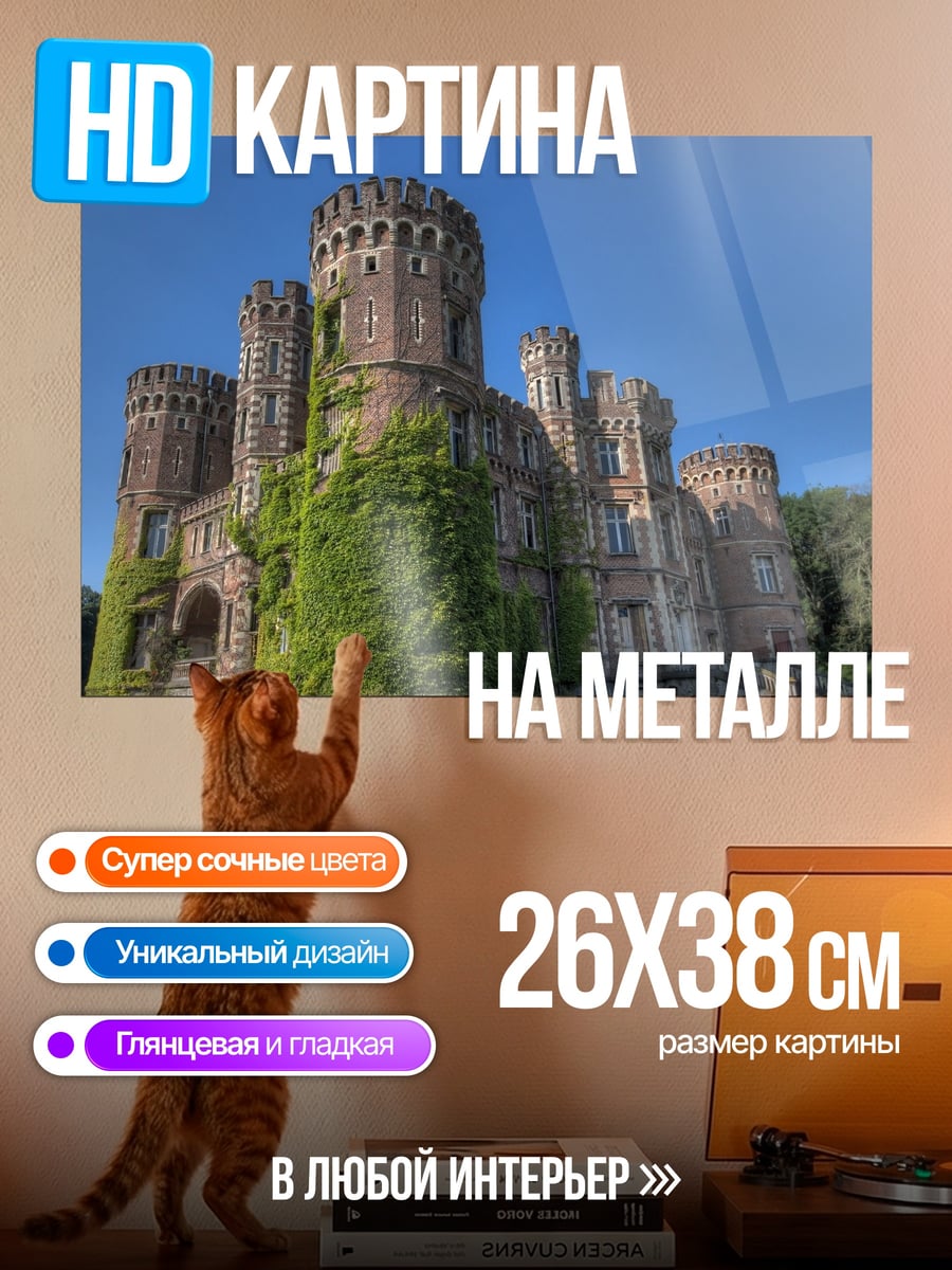 Картина на металле Заброшенный замок
