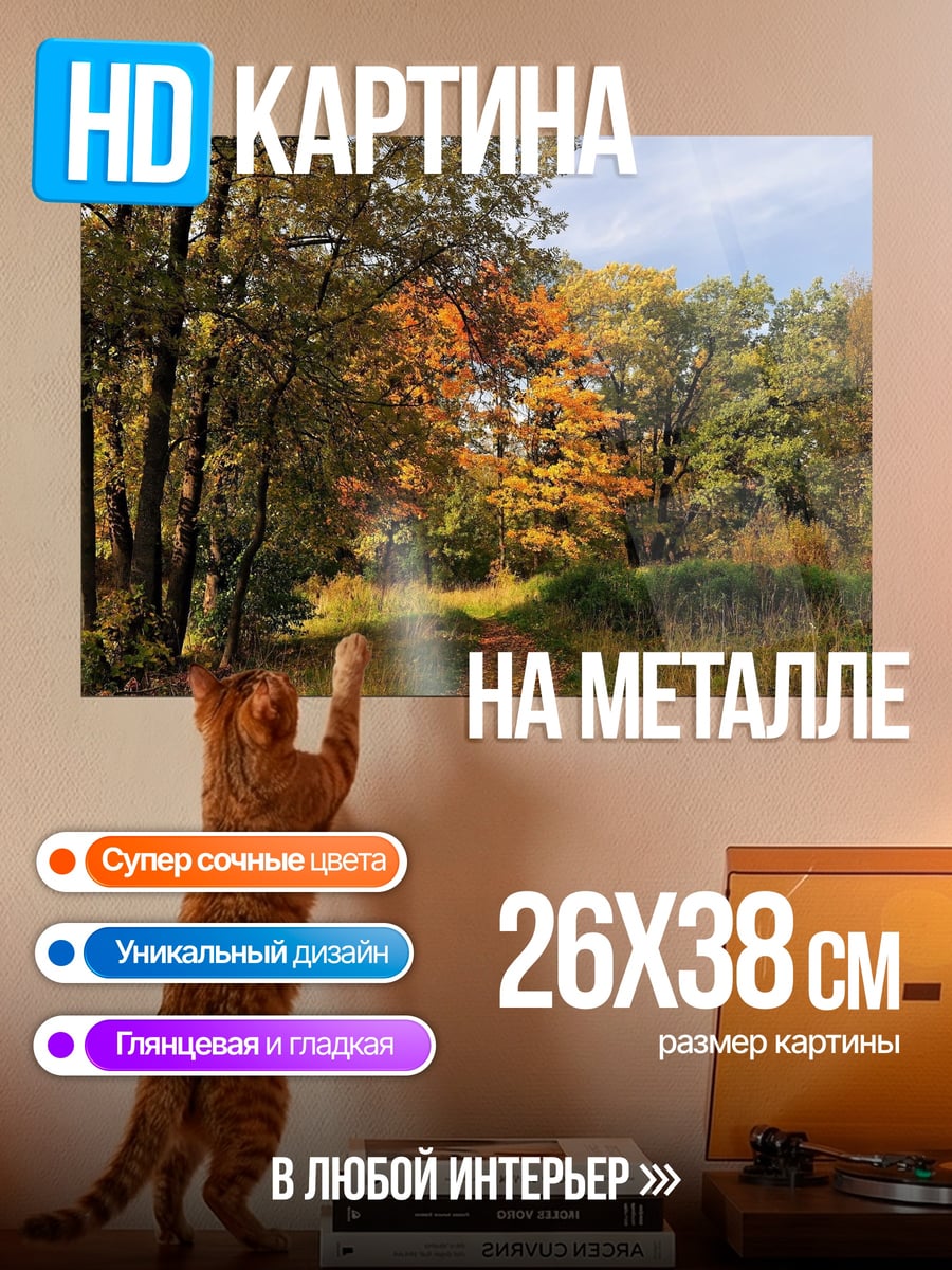 Картина на металле Осенний лес тропа