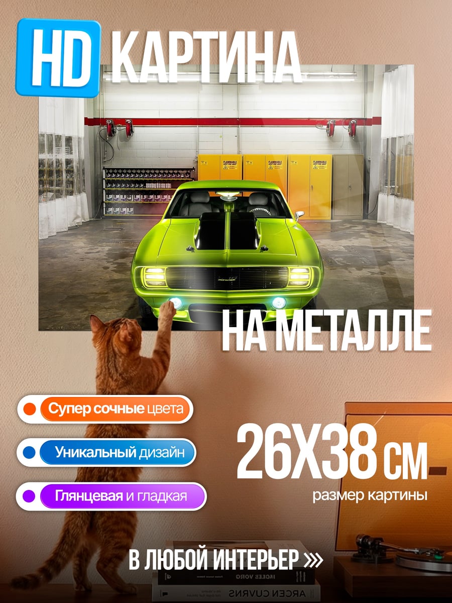 Картина на металле Зеленый маслкар