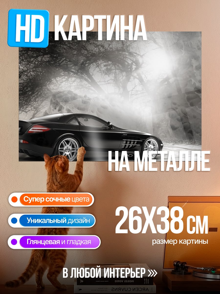 Картина на металле Чёрный спорткар