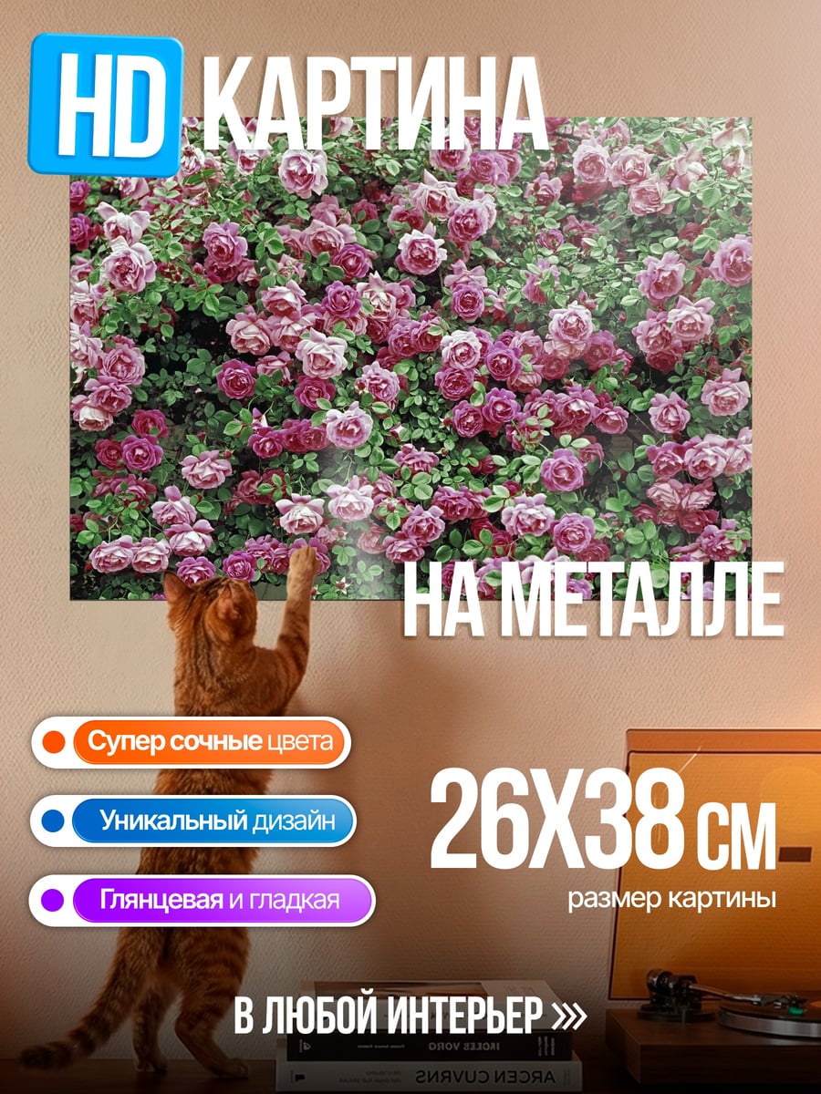 Картина на металле Розовые розы