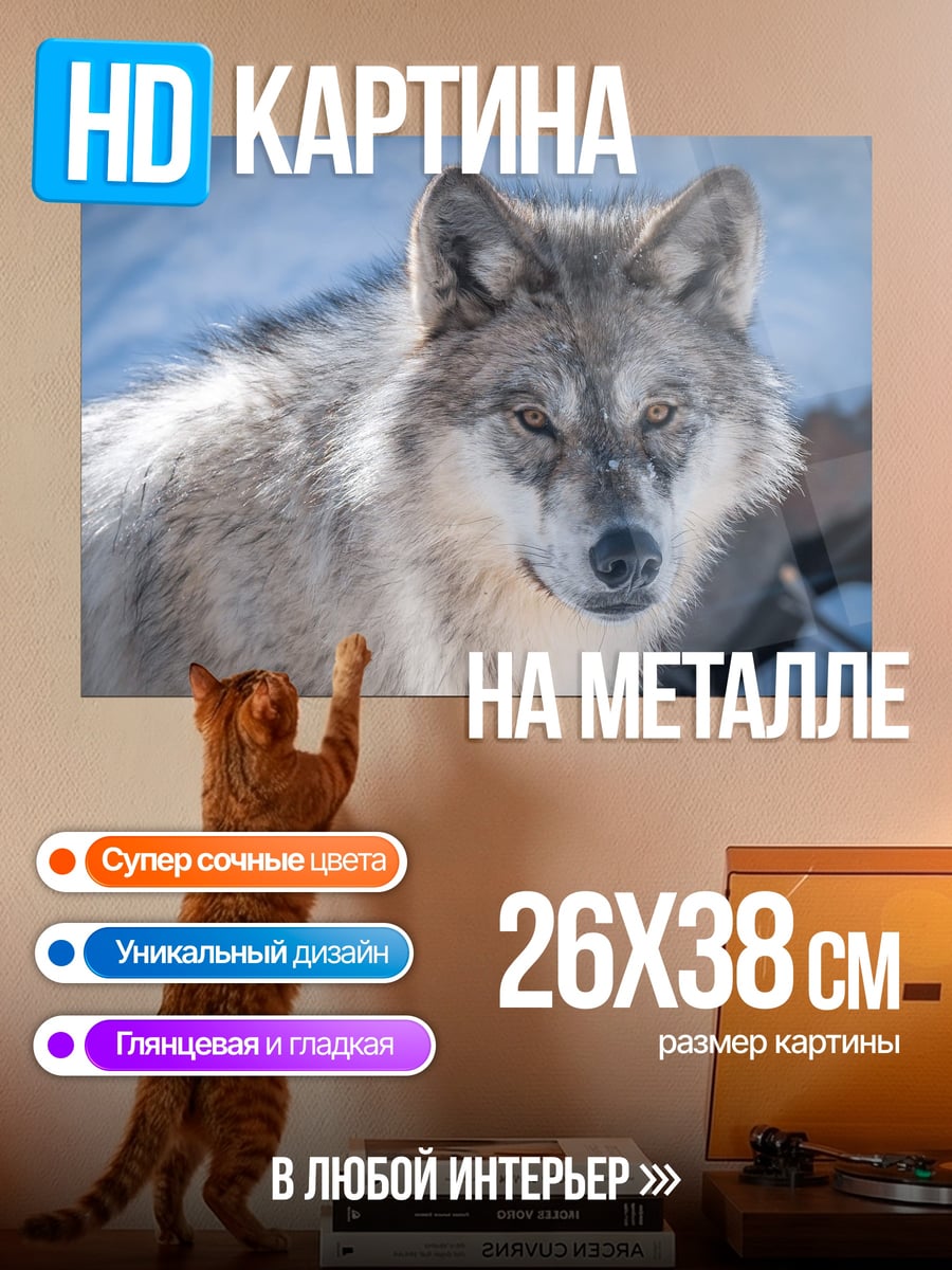 Картина на металле серый волк