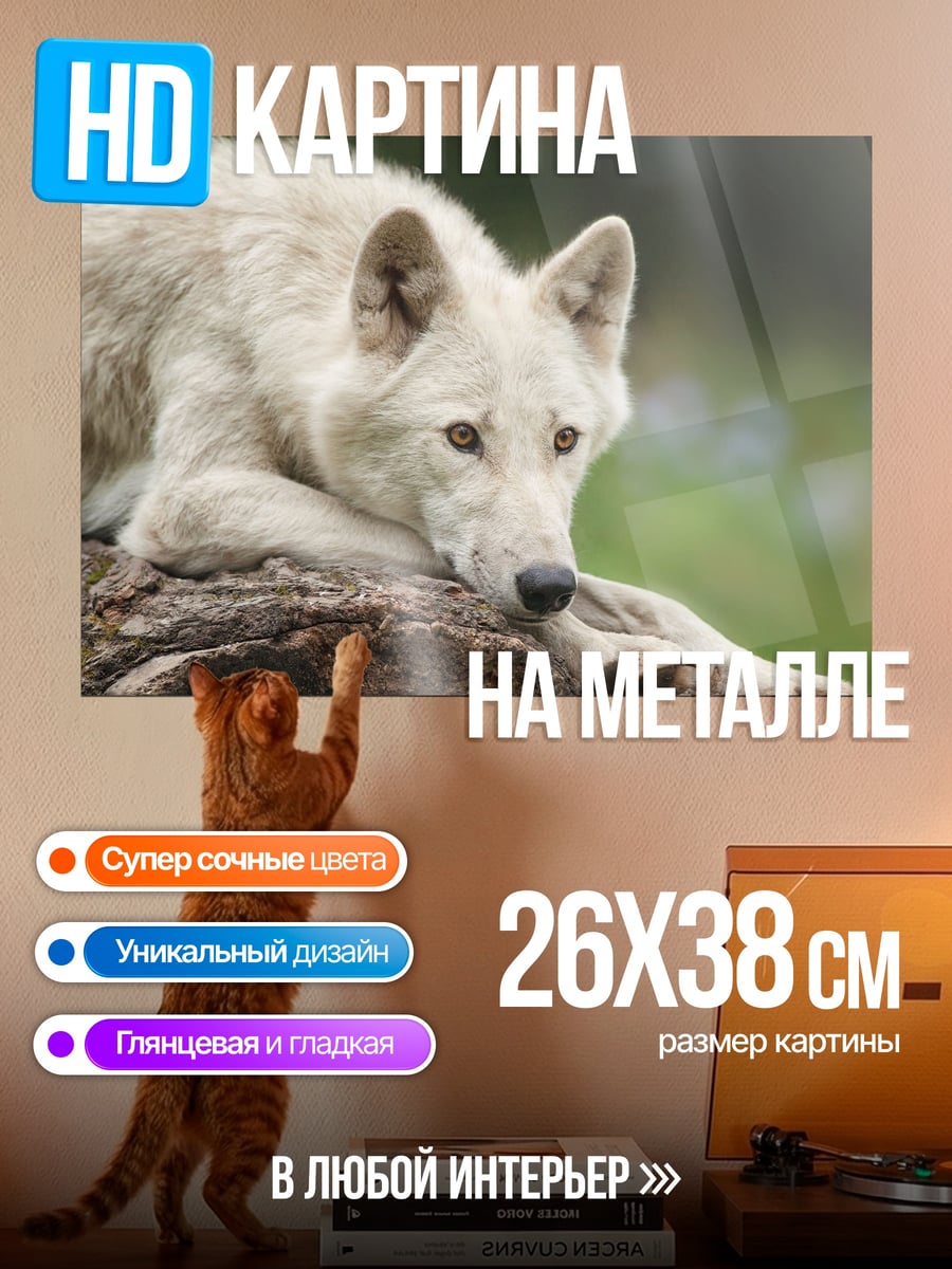 Картина на металле белый волк
