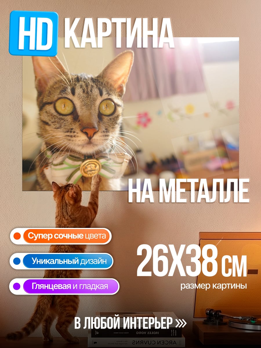 Картина на металле кот с бабочкой