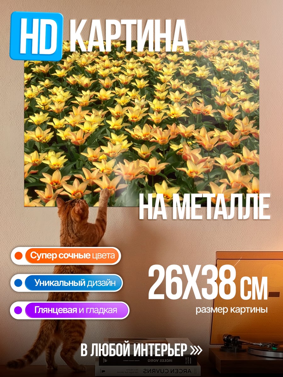 Картина на металле поле тюльпанов