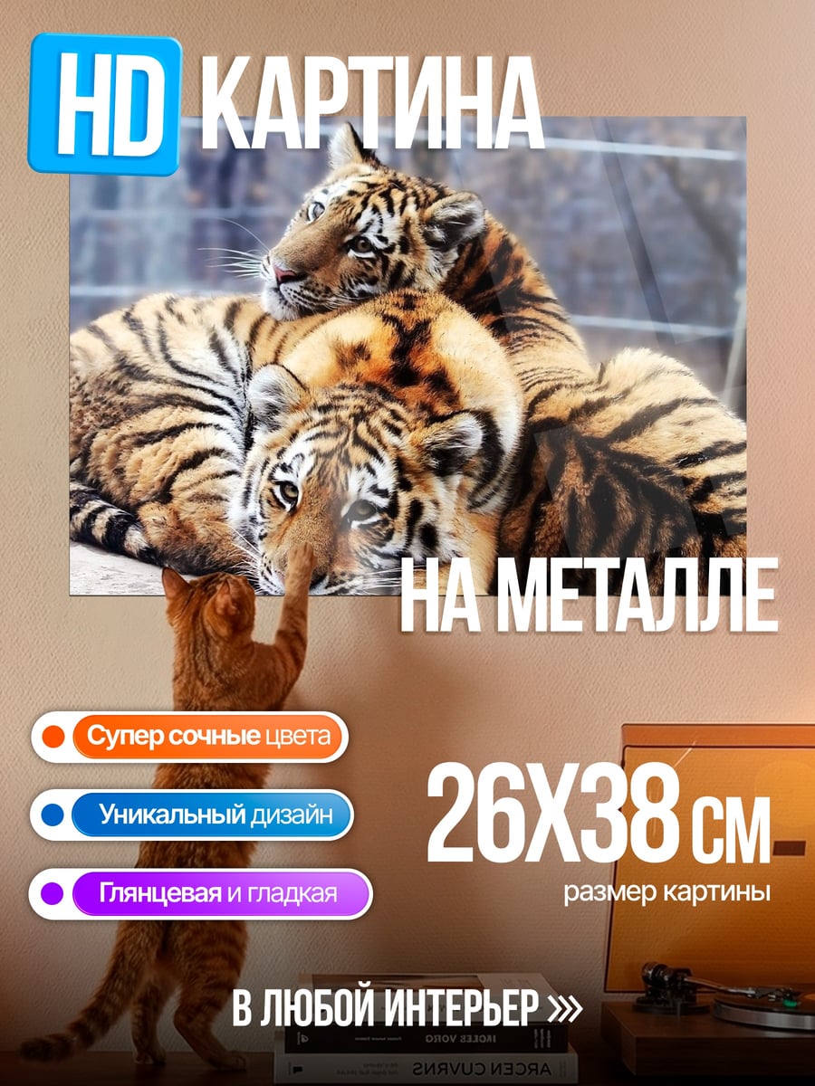 Картина на металле Два тигра отдыхают