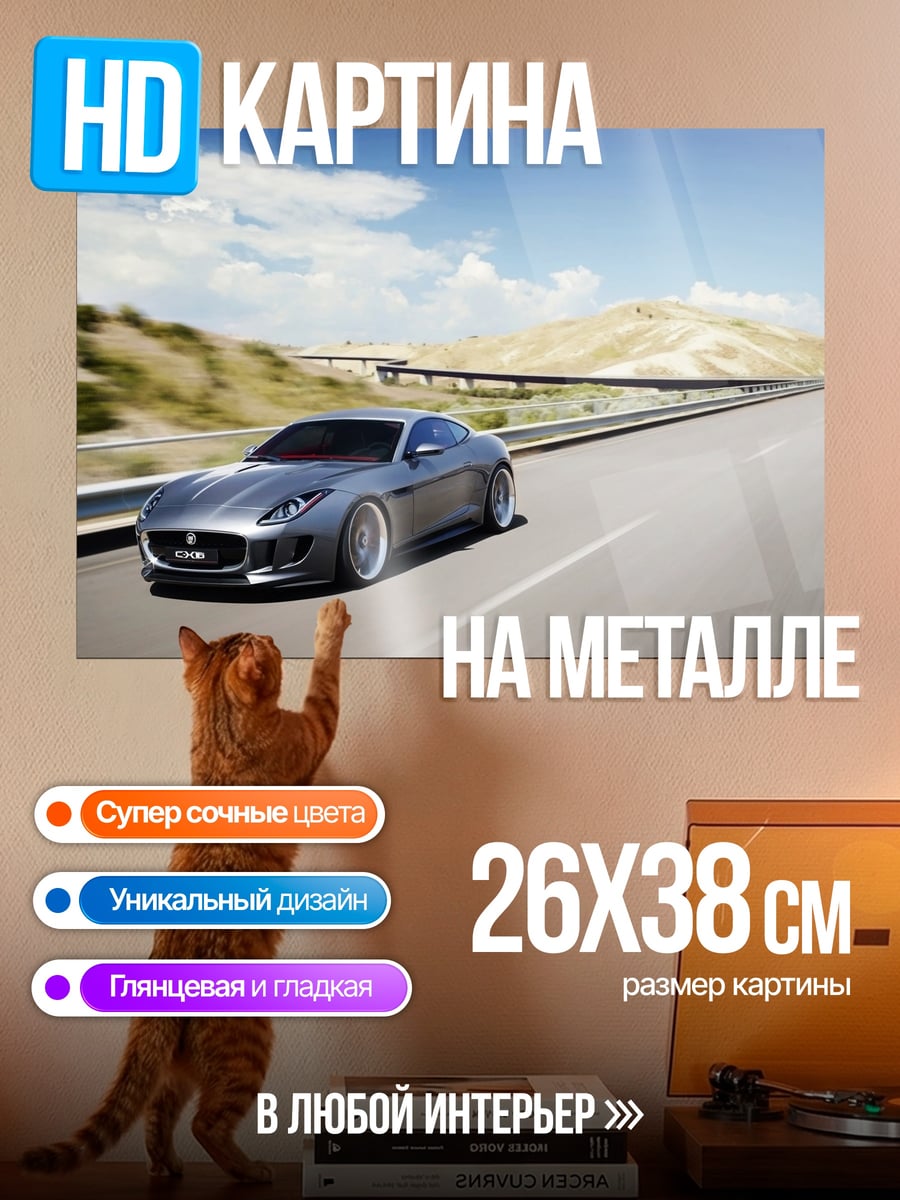 Картина на металле Серый спорткар на дороге