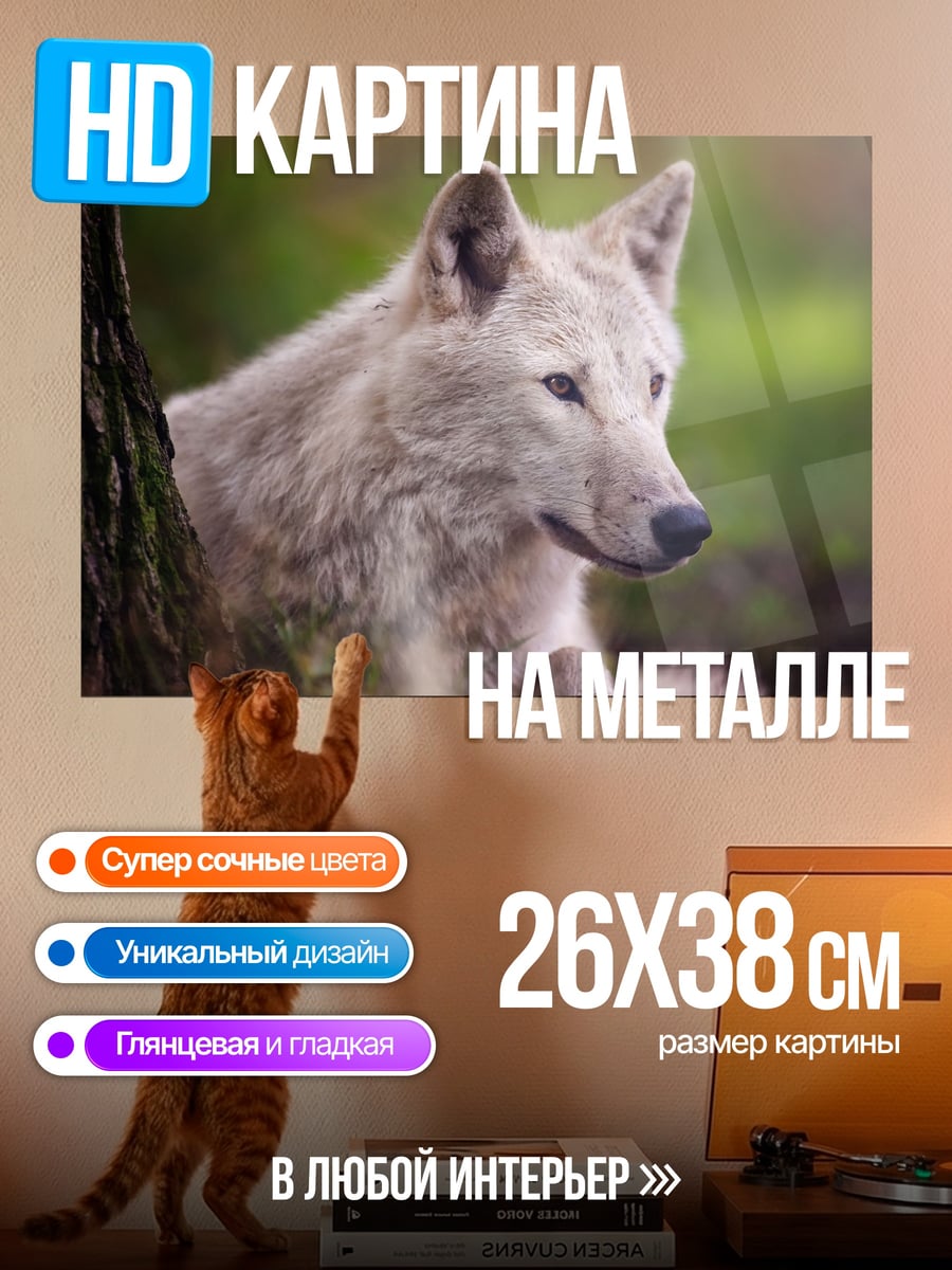 Картина на металле Белый волк