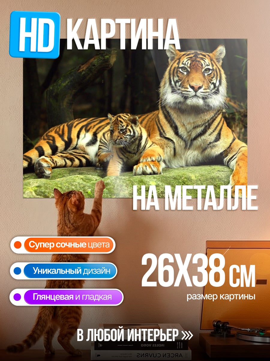 Картина на металле Два тигра на камне