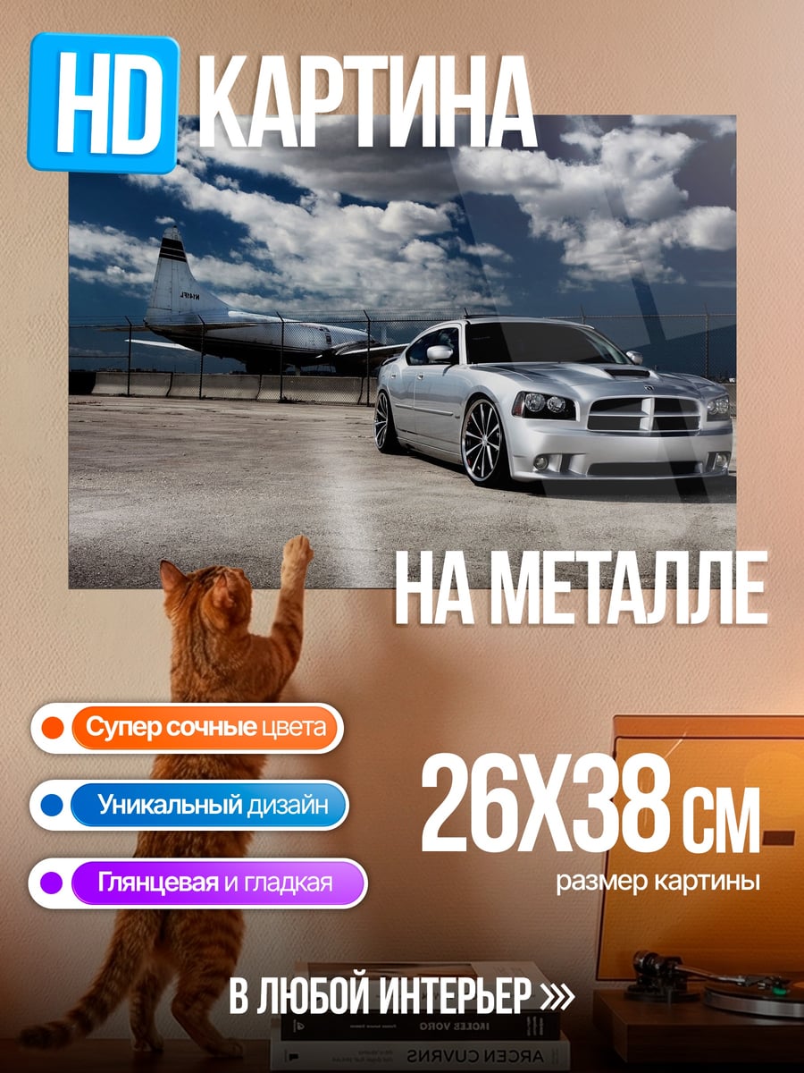 Картина на металле Серебряный Dodge Charger