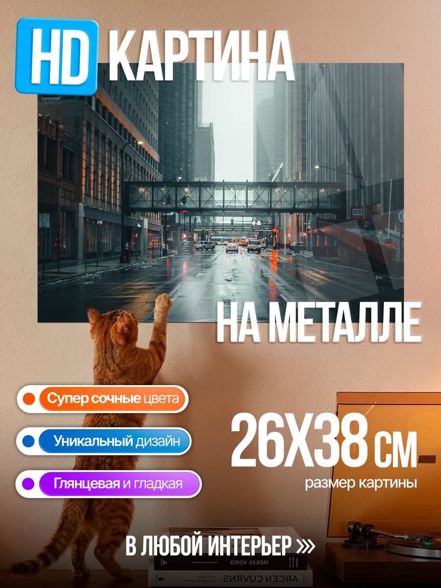 Картина на металле Городской дождь