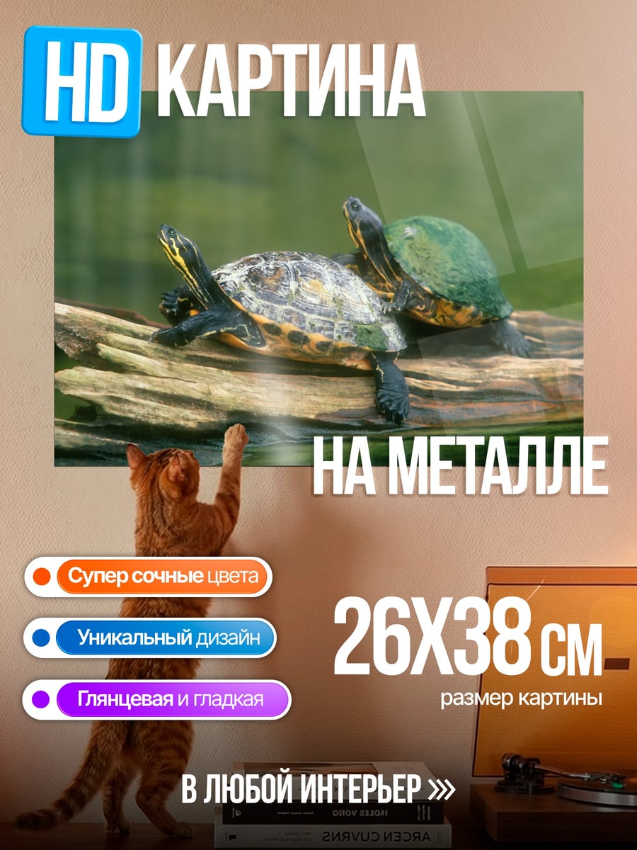 Картина на металле Две черепахи