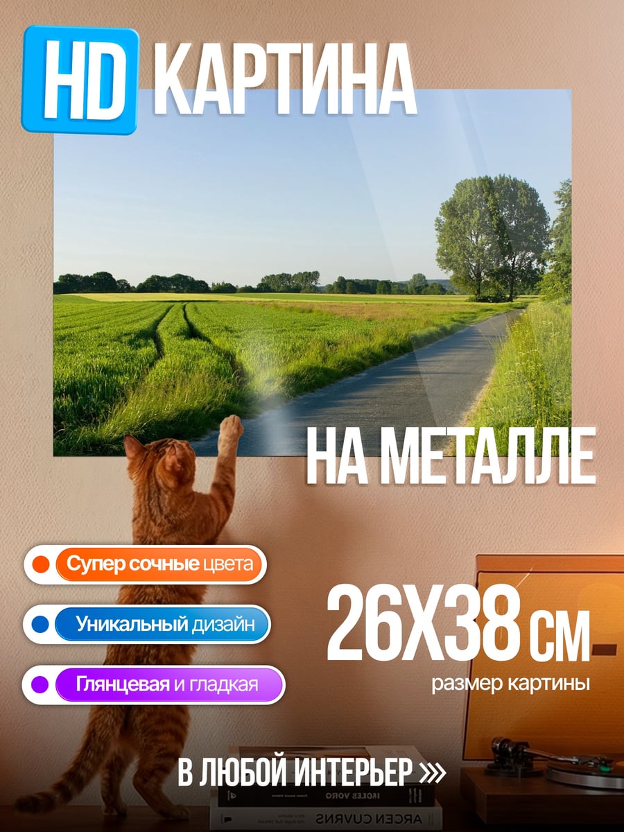 Картина на металле Летняя дорога в поле