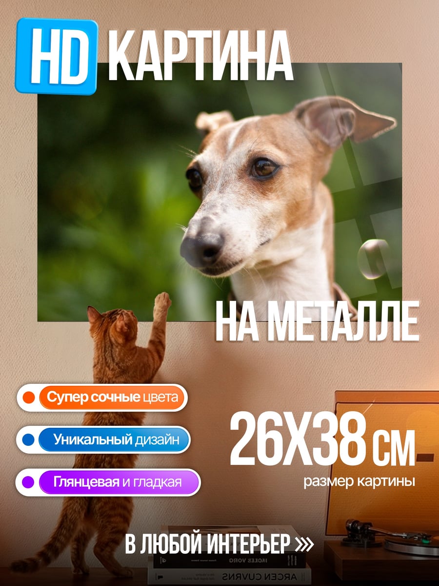 Картина на металле Портрет собаки