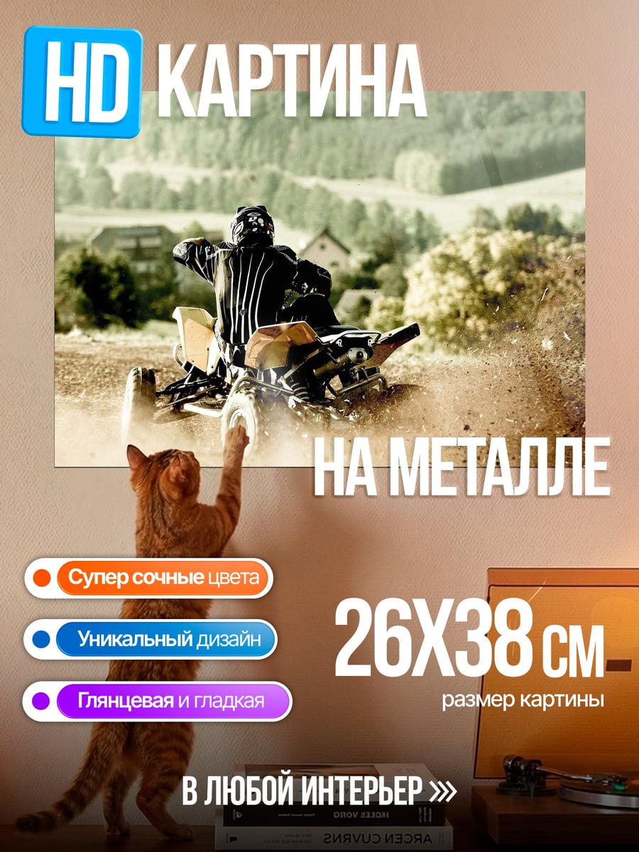 Картина на металле Квадроцикл в пыли